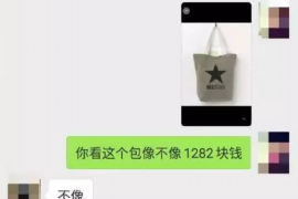 衡水对付老赖：刘小姐被老赖拖欠货款